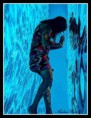 /album/fotogaleria-homepage/underwater-jpg/
